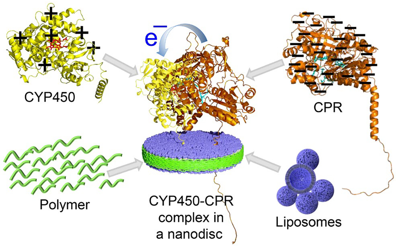 Figure 1.