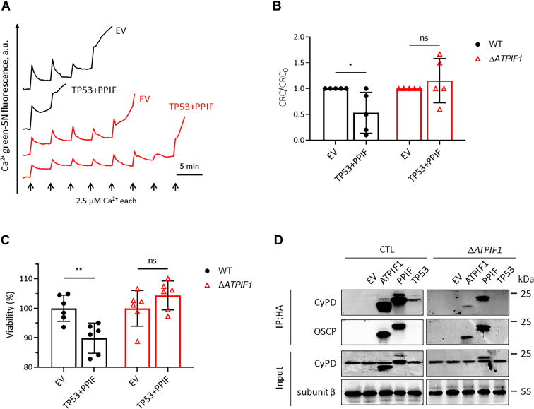 Figure 7