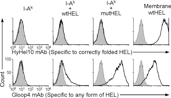 Fig. 9.