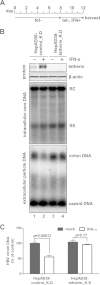 FIG 8