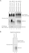 FIG 5