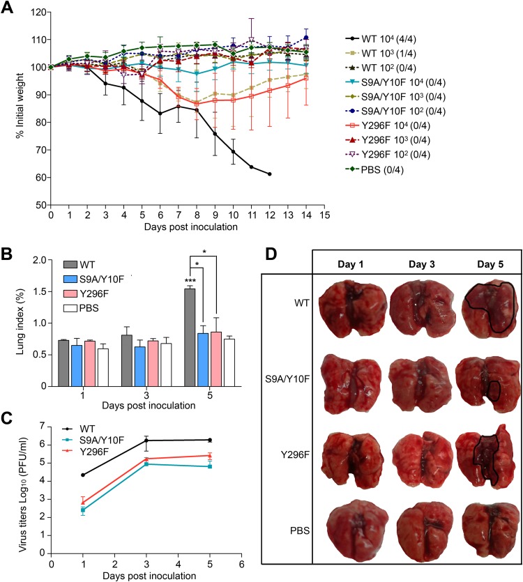 FIG 2