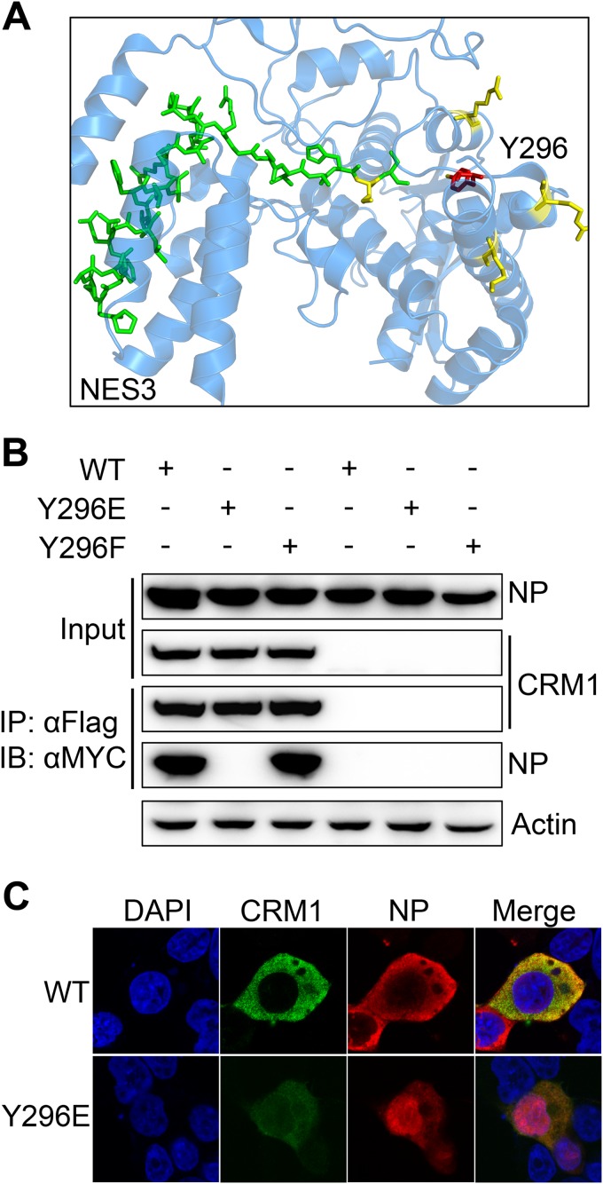 FIG 7