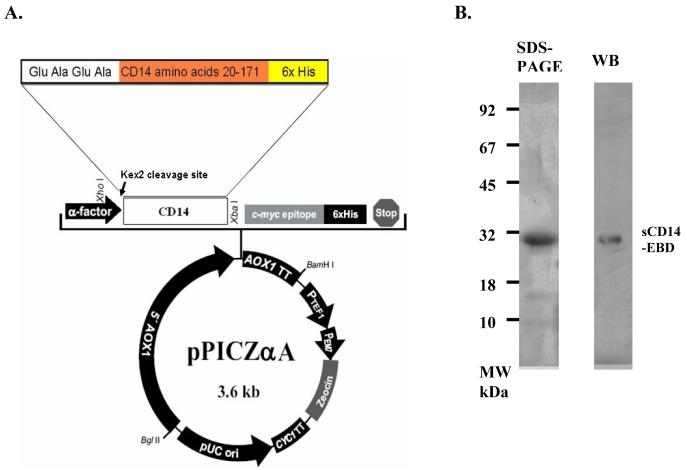 FIG. 1