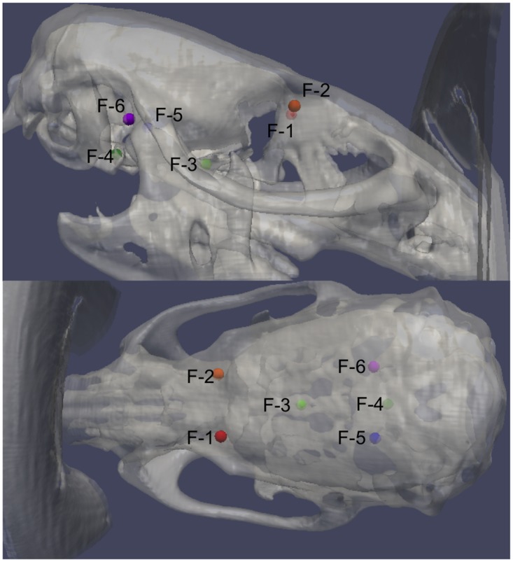 Fig 2