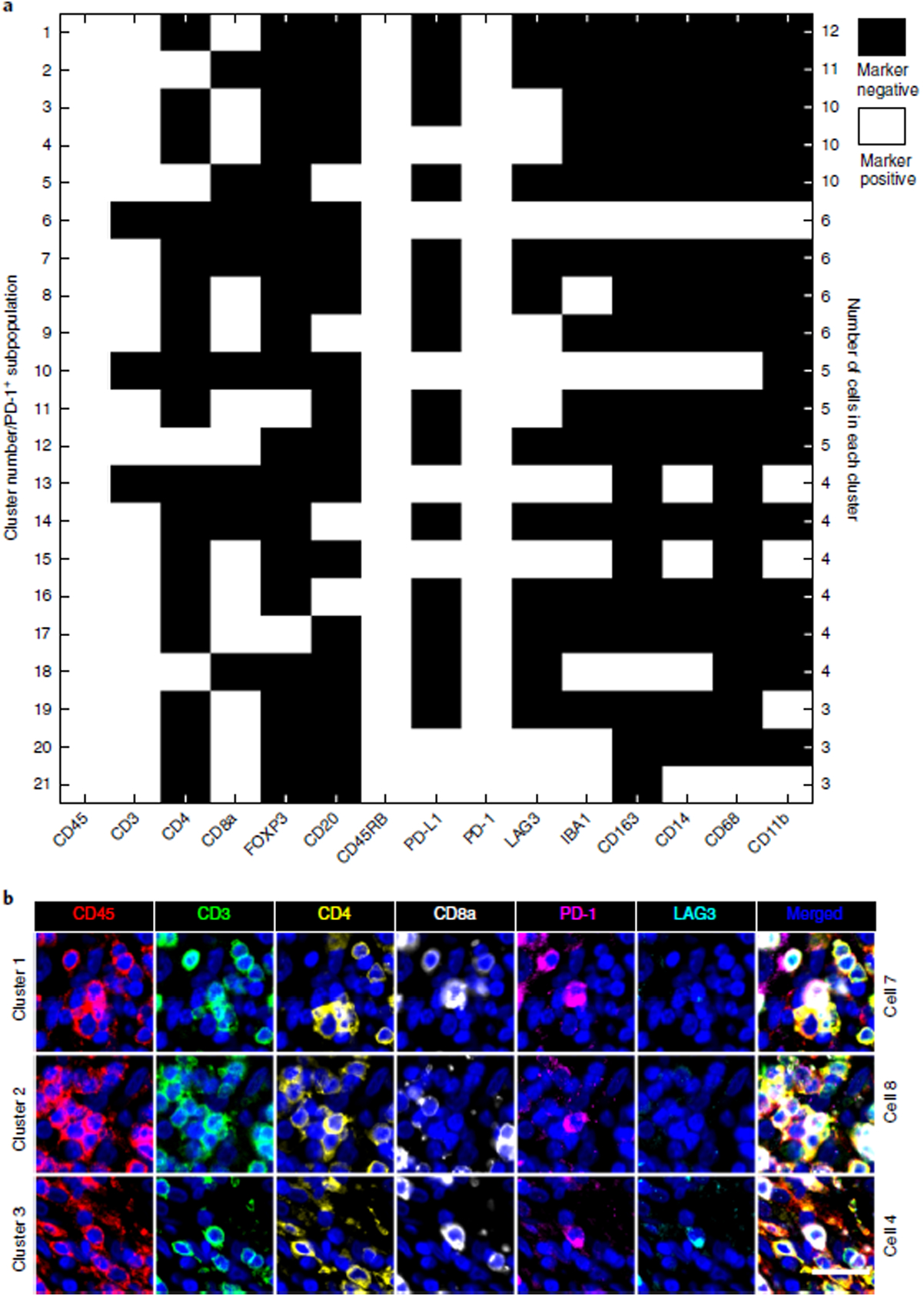 Fig. 8 |