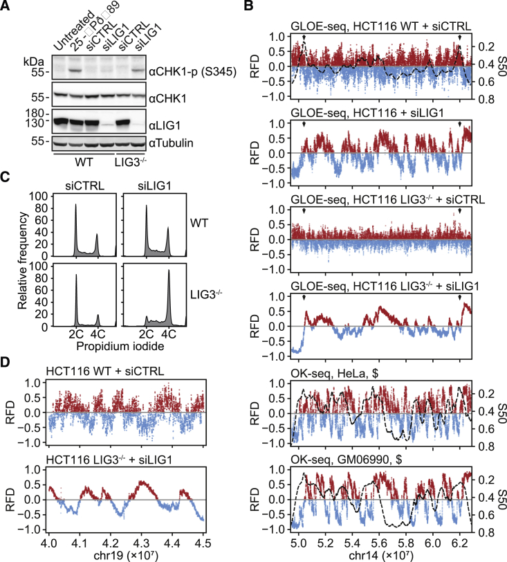 Figure 6