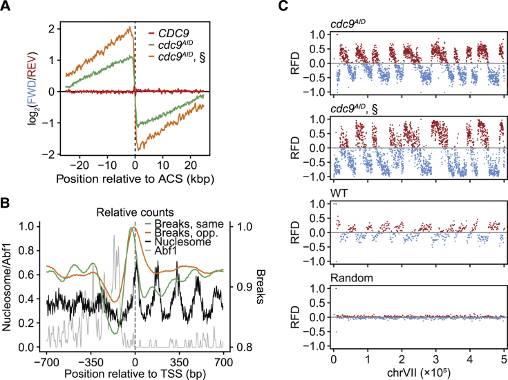 Figure 4