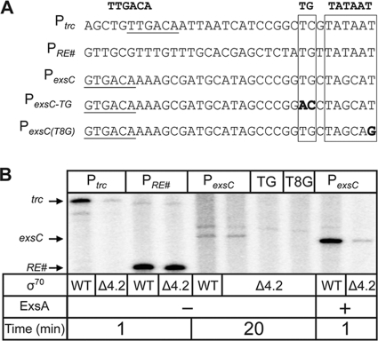 FIG. 6.