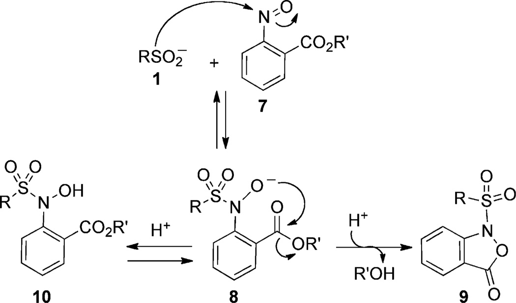 Scheme 2