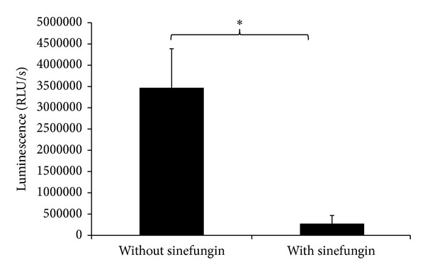 Figure 5