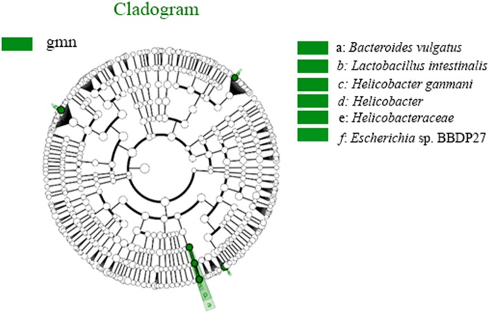 Fig. 8