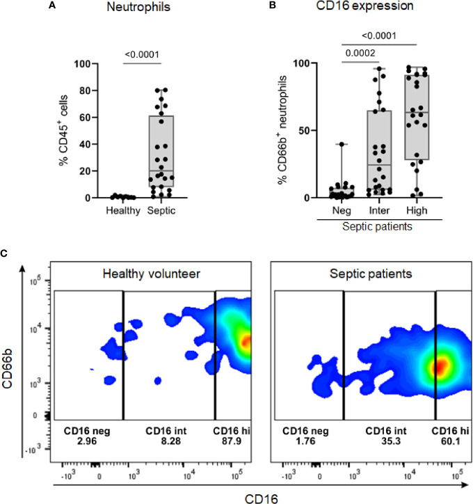 Figure 6