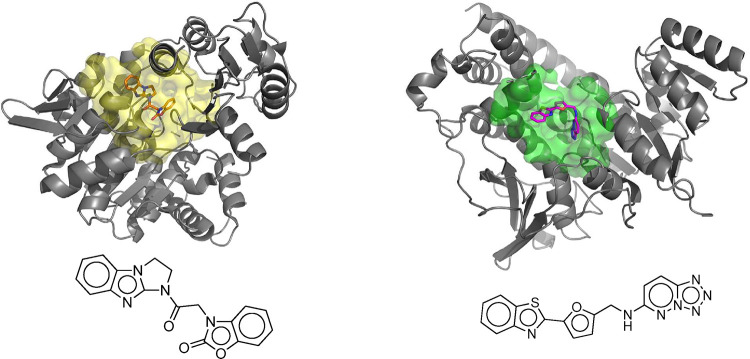 Fig 7.