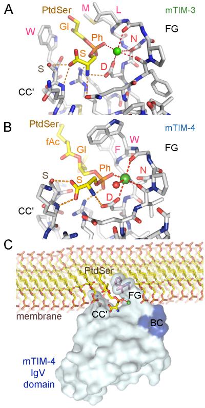 Fig. 4