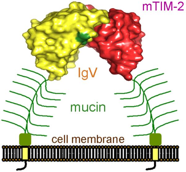 Fig. 9