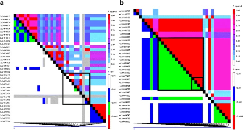 Fig. 6