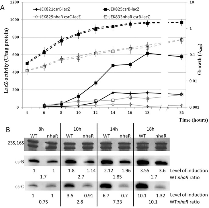 Fig 2