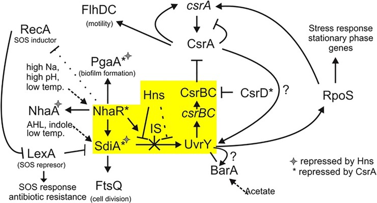 Fig 8