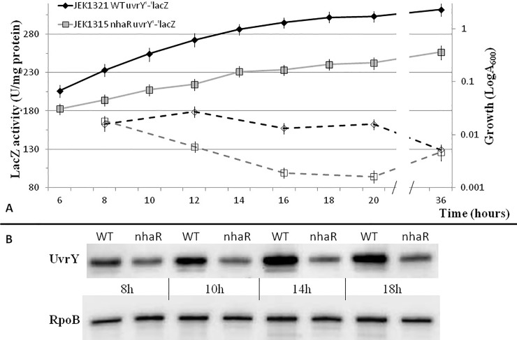 Fig 4