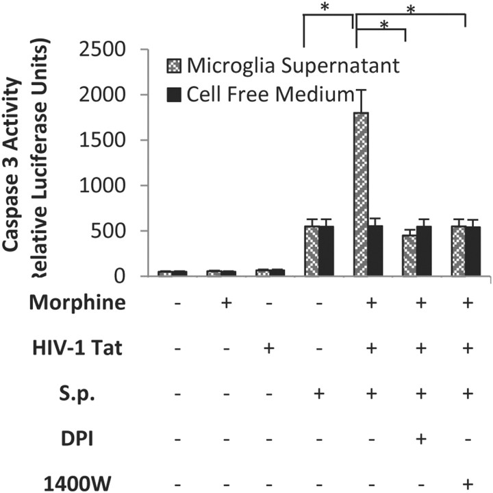 Figure 13.