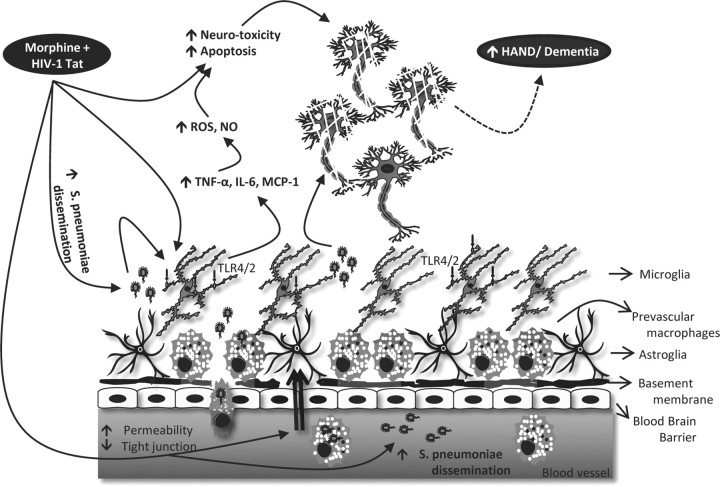 Figure 14.