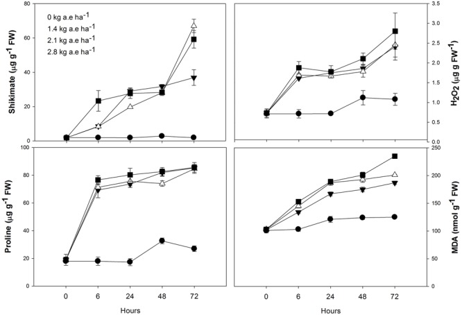 FIGURE 3