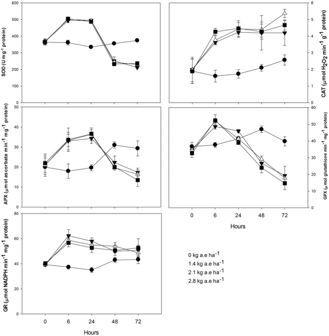 FIGURE 4