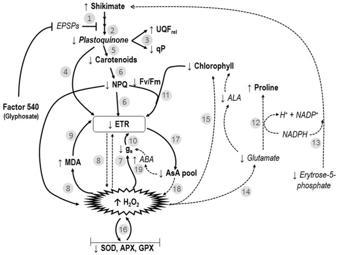 FIGURE 6