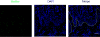 Extended Data Figure 10