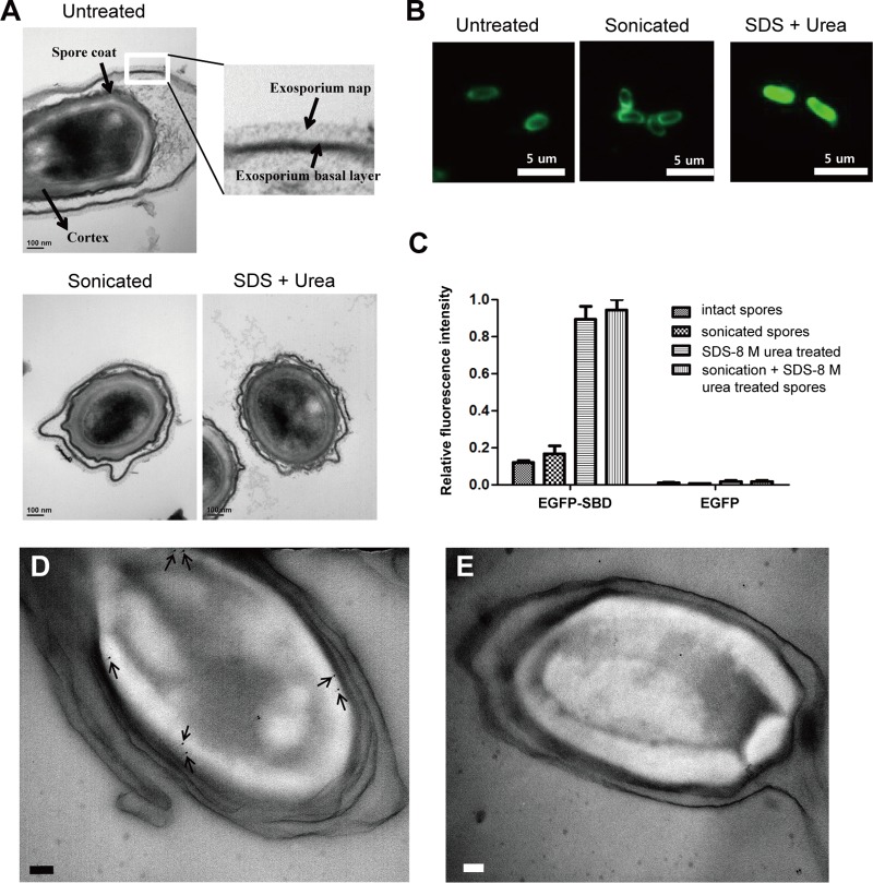 FIG 2