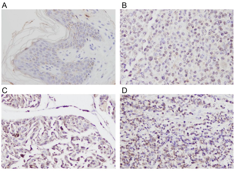 Figure 1.