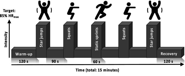 Fig. 1