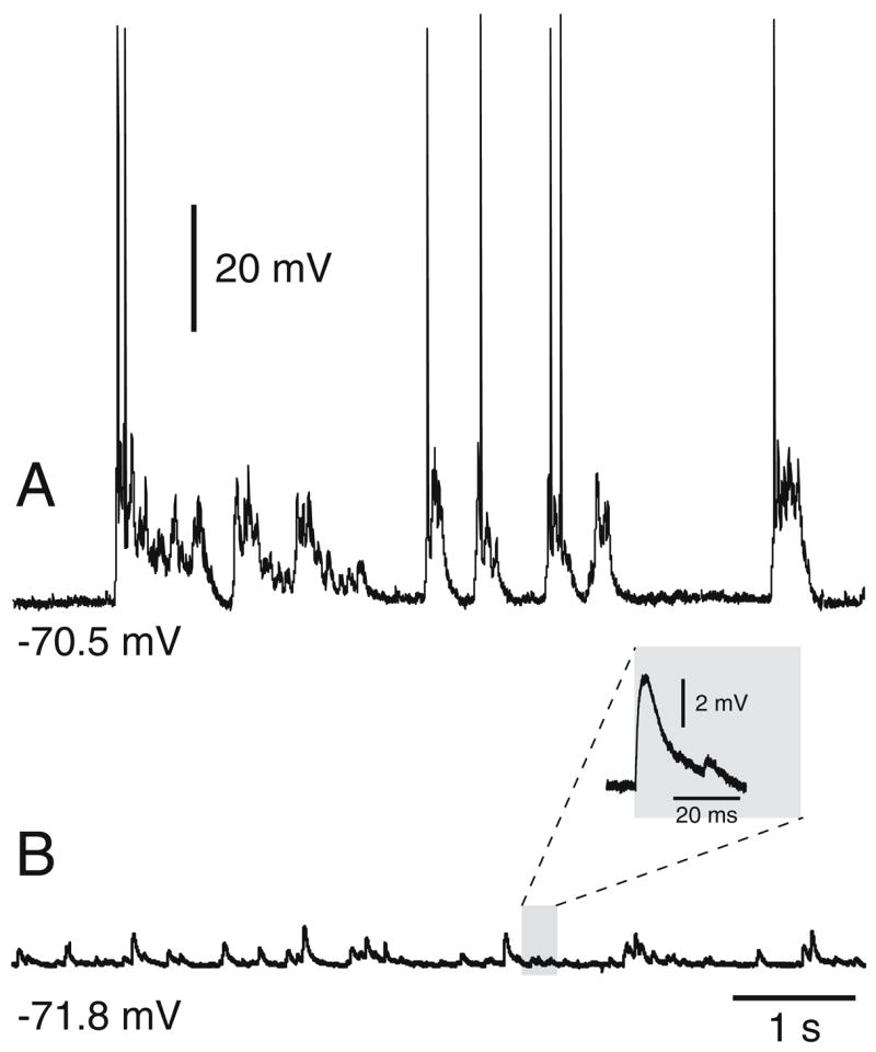 Fig. 11