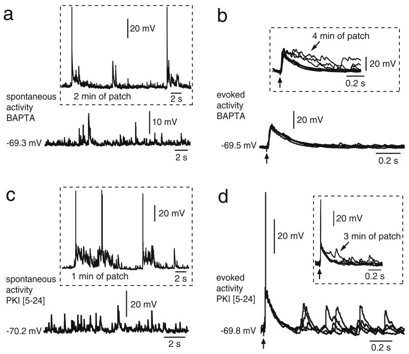 Fig. 8