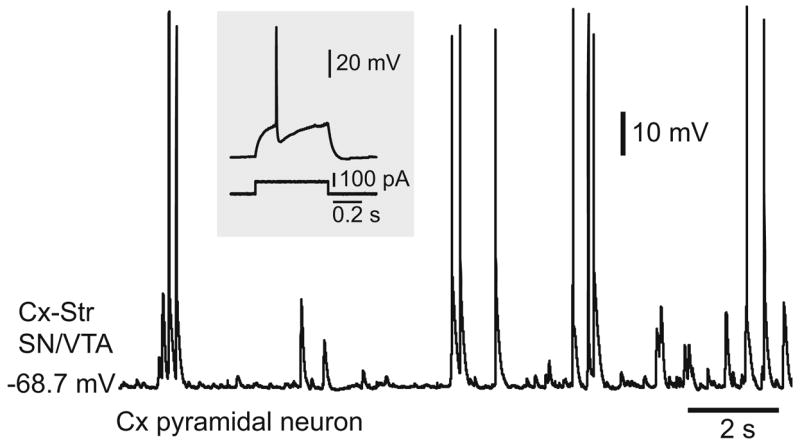 Fig. 10