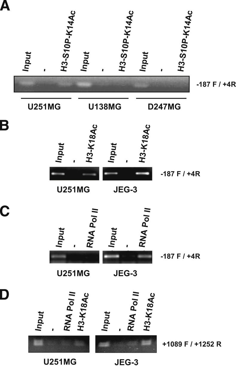 Figure 6