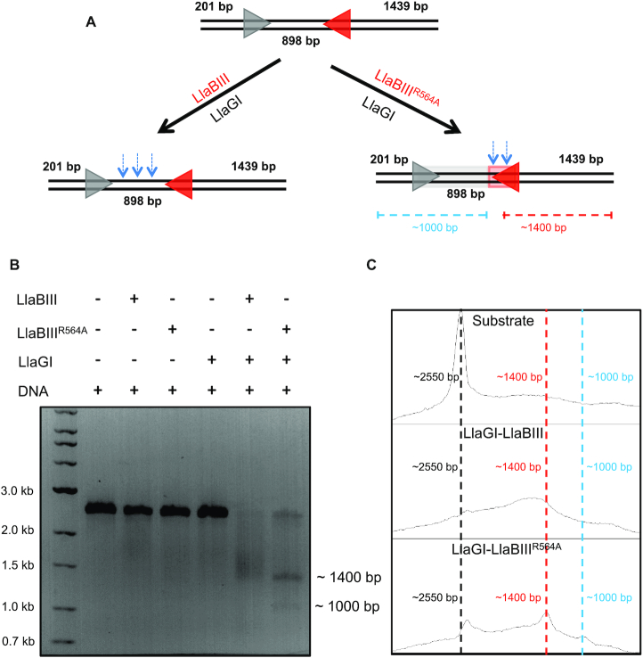 Figure 6.