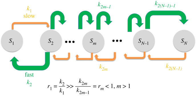 Figure 13. 