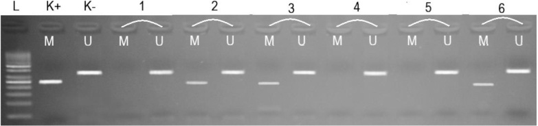 Figure 1.