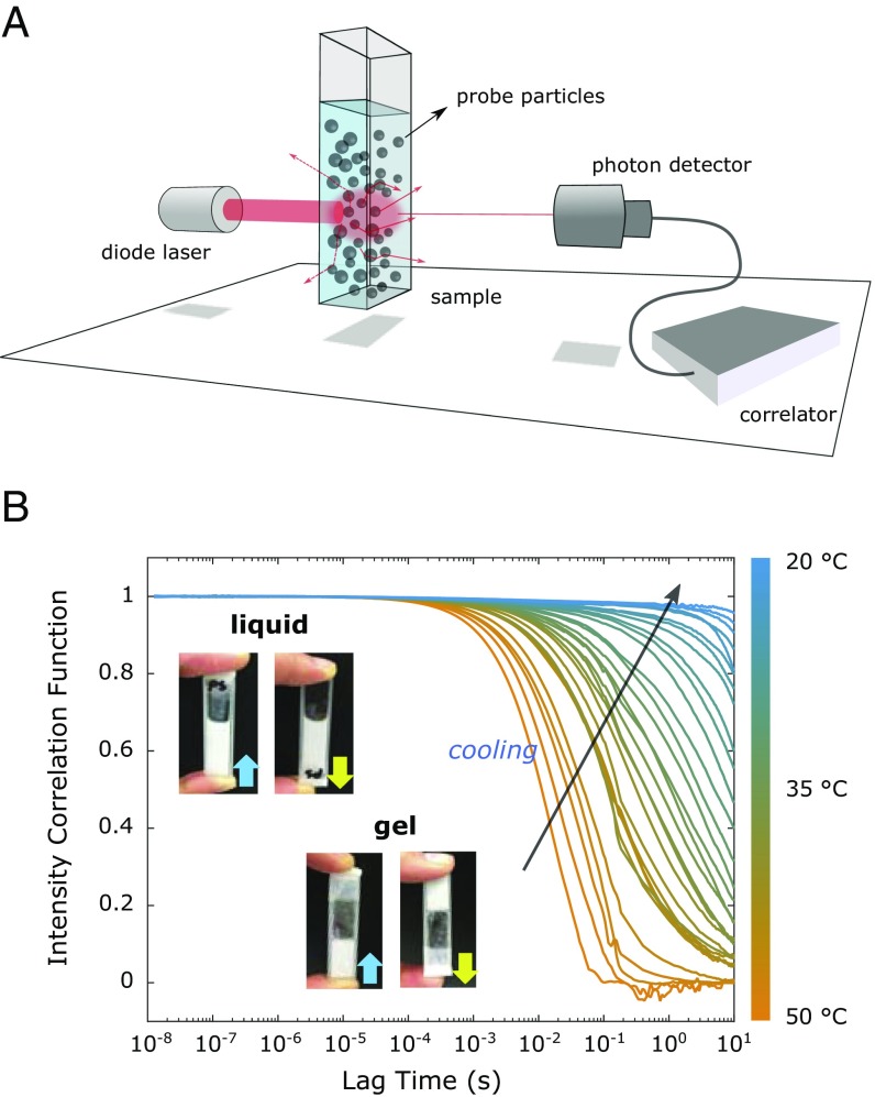 Fig. 2.