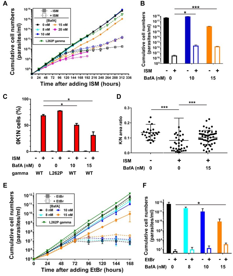 FIG 3