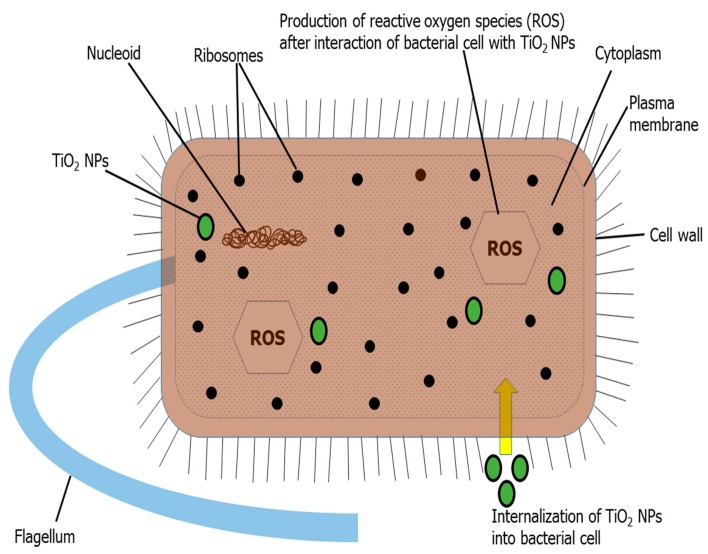 Figure 7