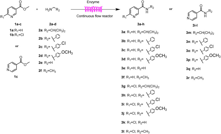 Scheme 1