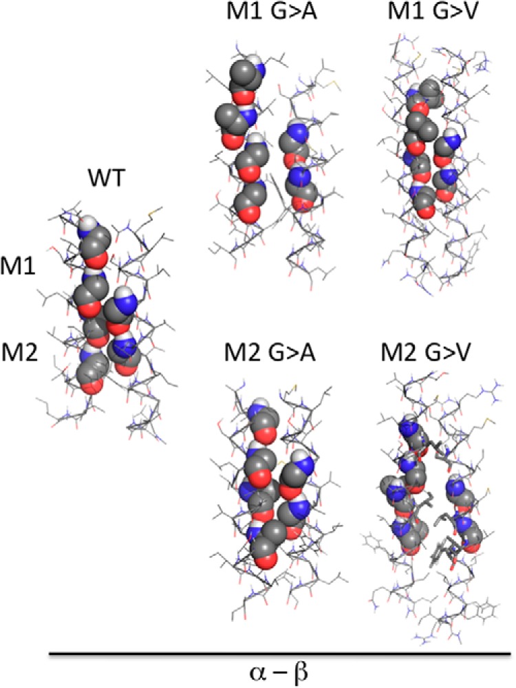 FIGURE 5.