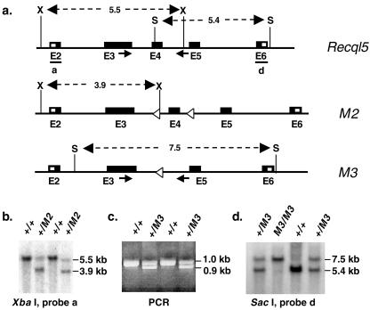 FIG. 7.