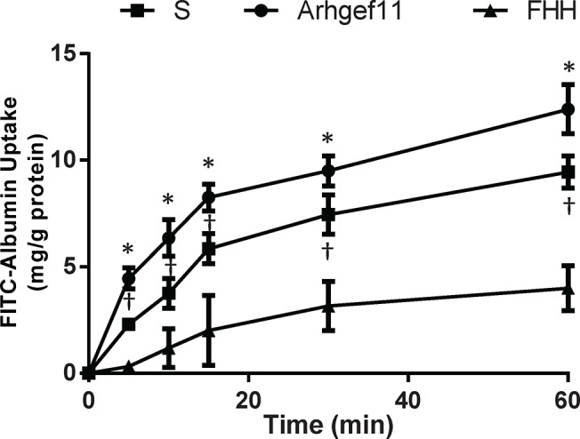 Fig 8