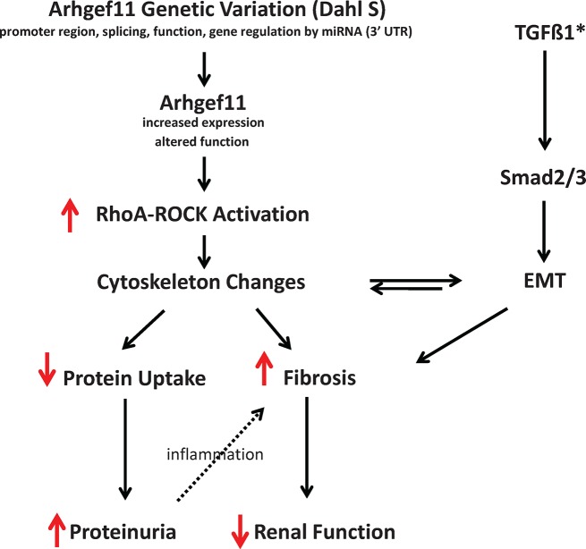 Fig 10