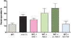 Figure 1—figure supplement 5.