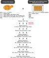 Figure 1—figure supplement 4.